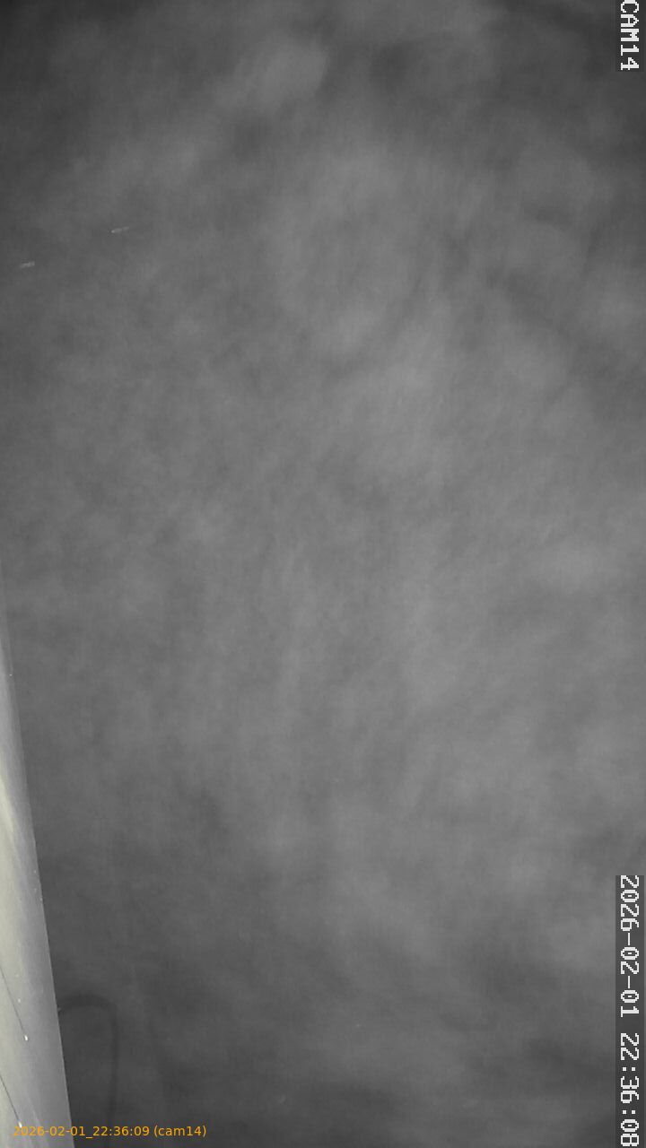 thumbnail_20260201223609