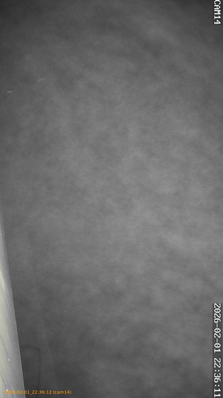 thumbnail_20260201223612