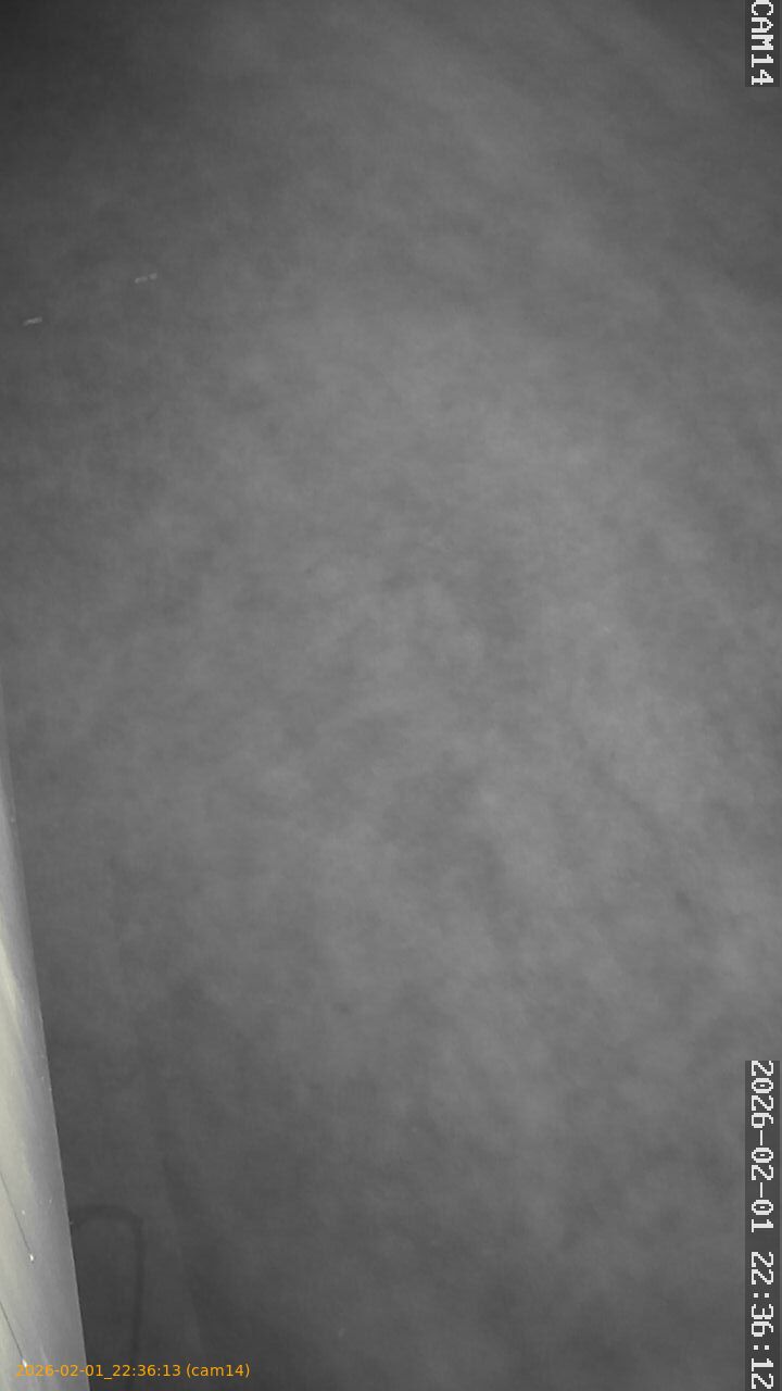 thumbnail_20260201223613