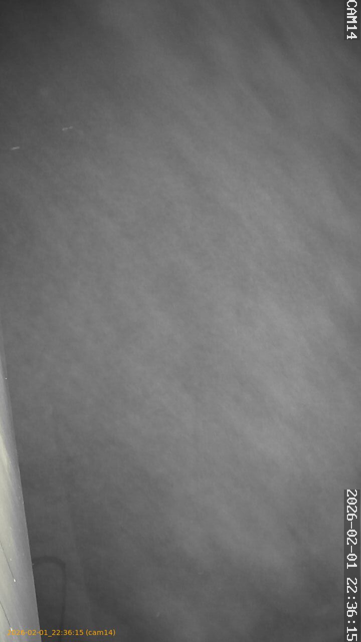 thumbnail_20260201223615