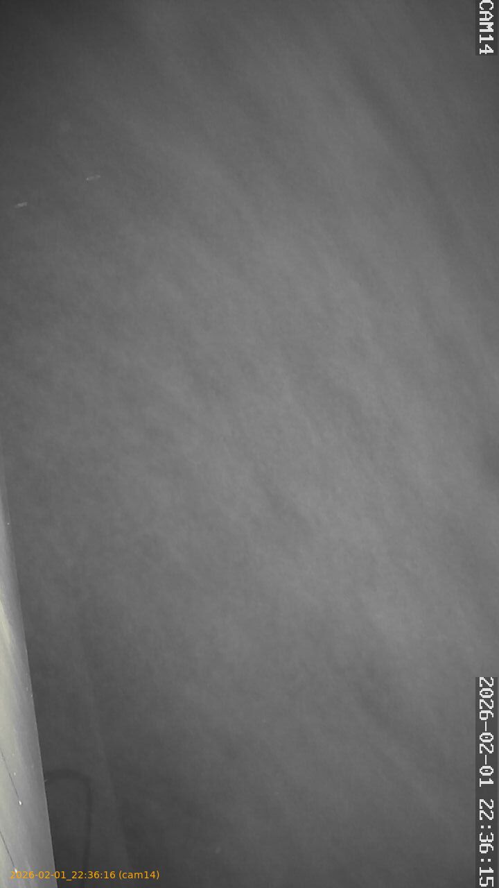 thumbnail_20260201223616