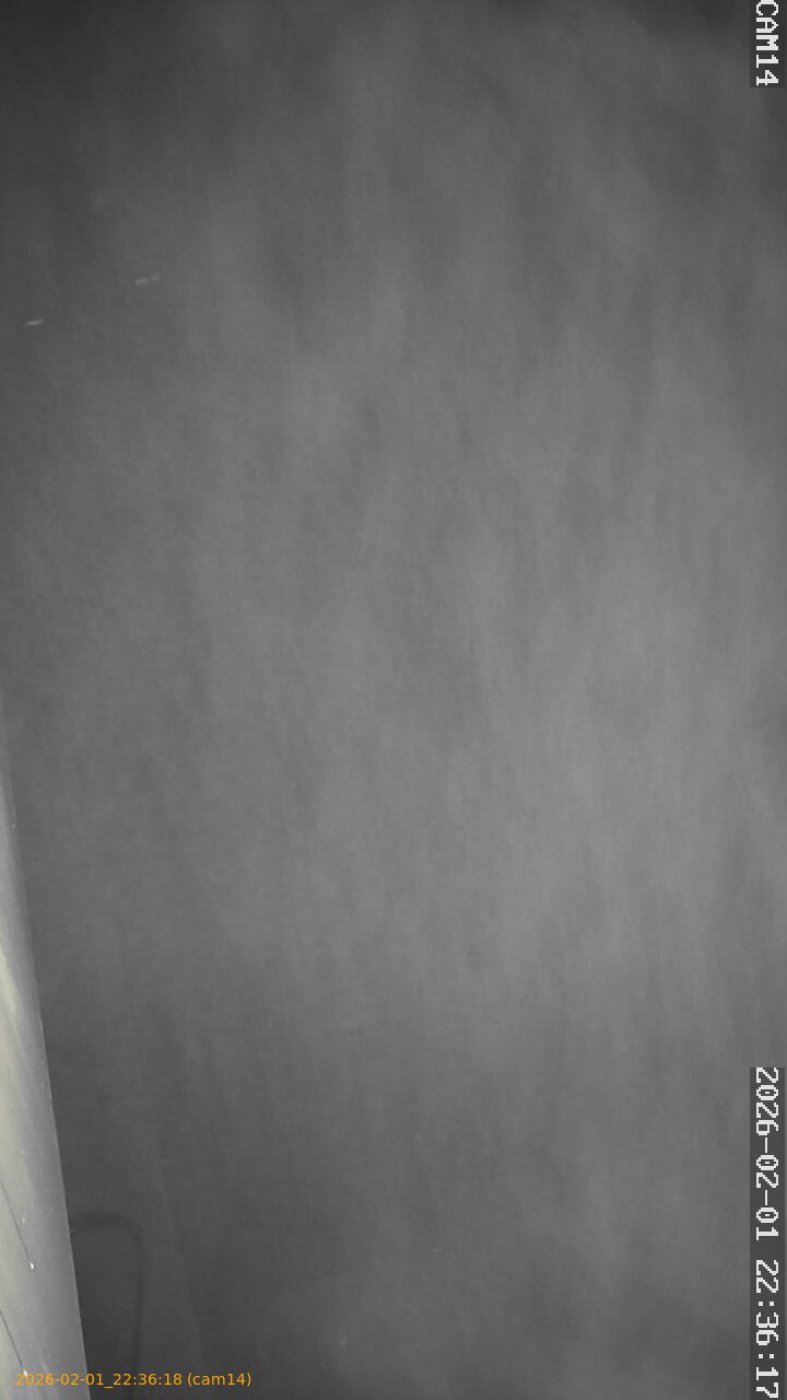 thumbnail_20260201223618