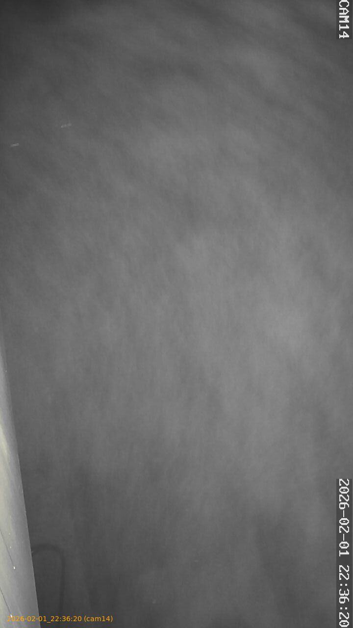 thumbnail_20260201223620