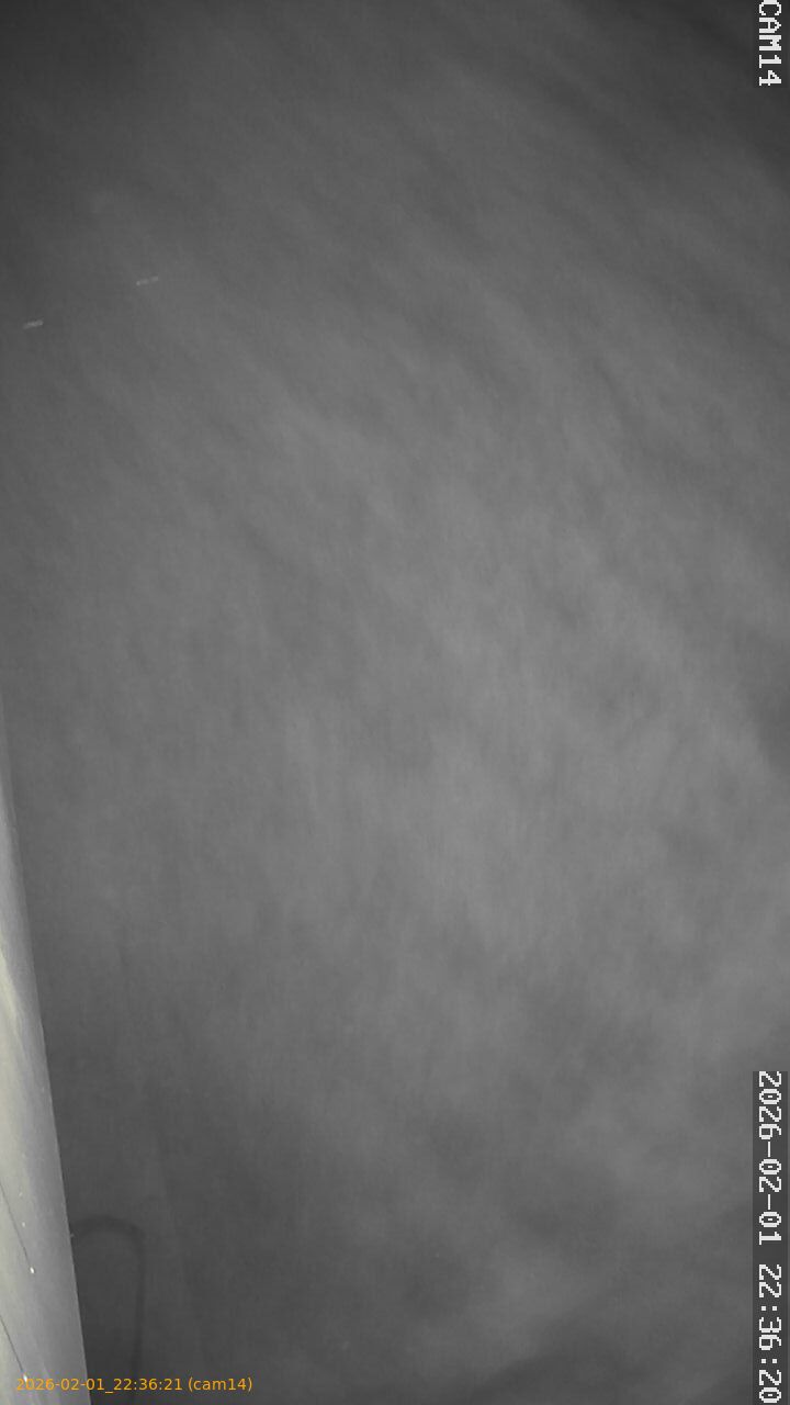 thumbnail_20260201223621