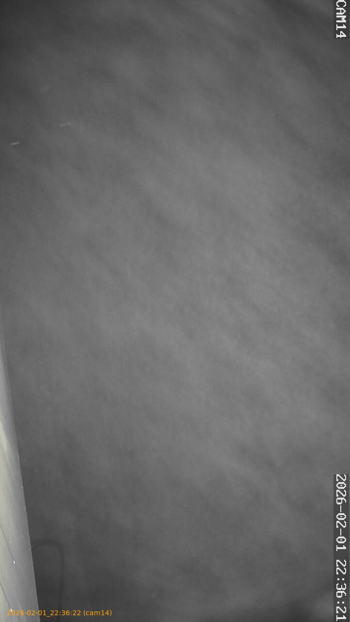 thumbnail_20260201223622