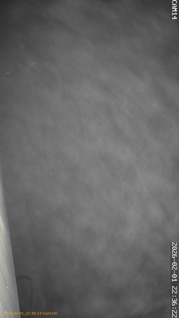 thumbnail_20260201223623