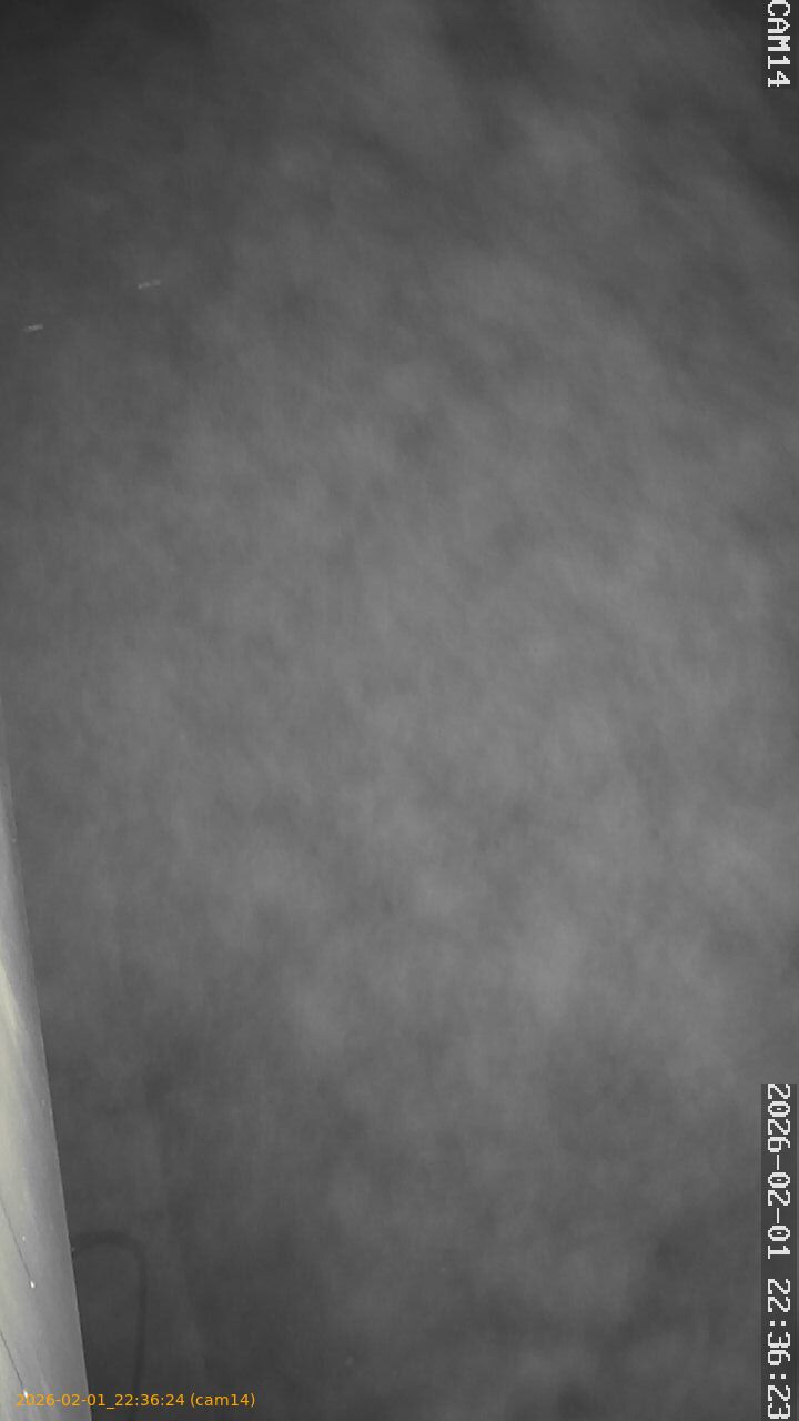 thumbnail_20260201223624