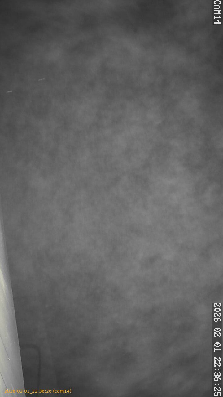 thumbnail_20260201223626