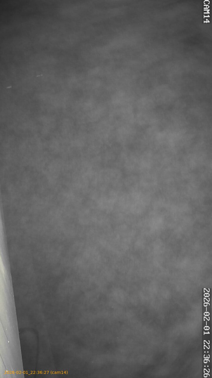 thumbnail_20260201223627