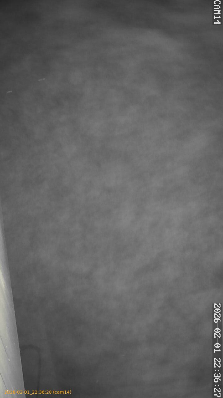 thumbnail_20260201223628