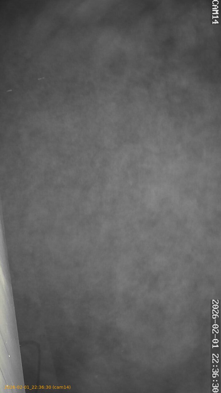 thumbnail_20260201223630