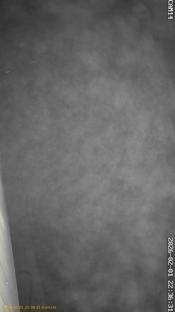 thumbnail_20260201223631