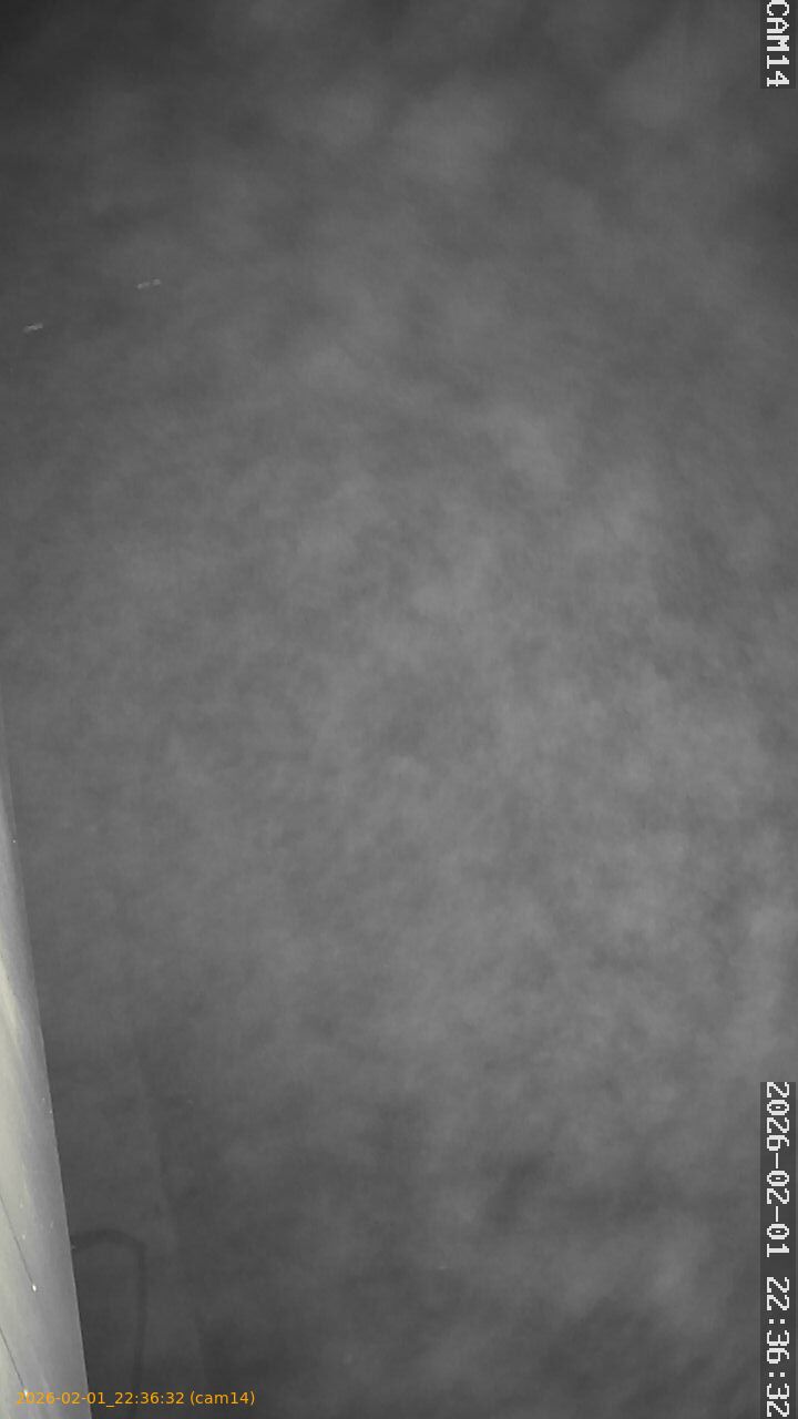 thumbnail_20260201223632