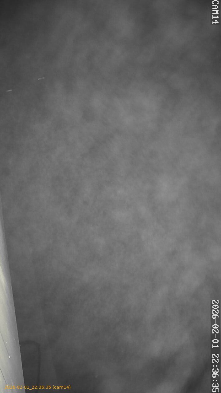 thumbnail_20260201223635