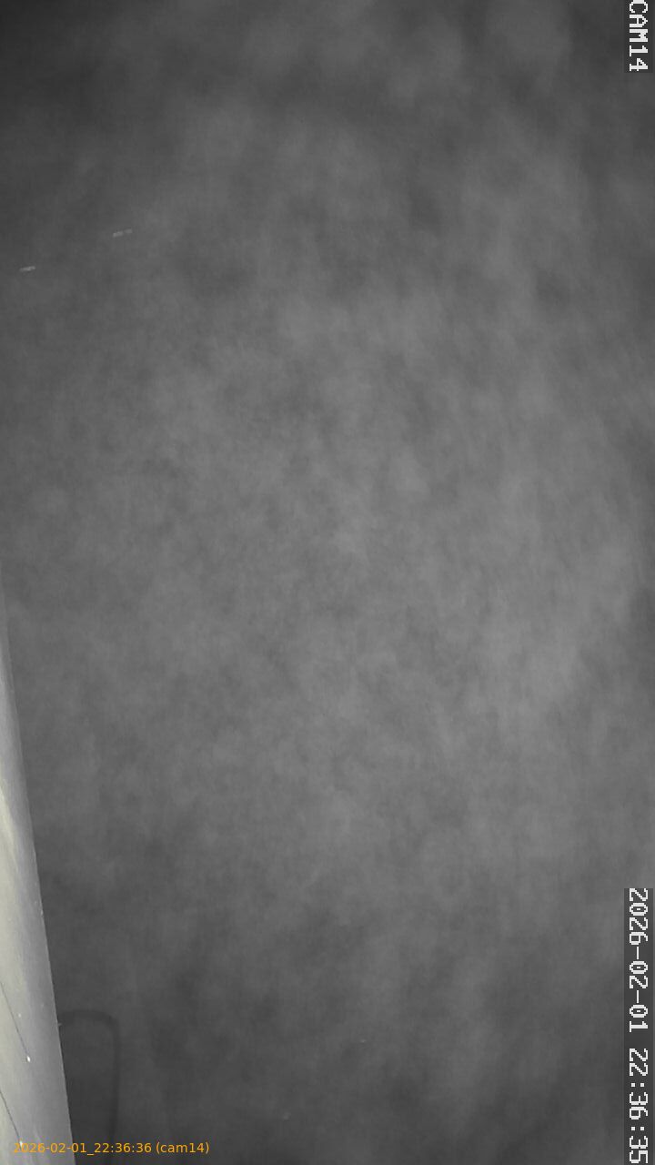 thumbnail_20260201223636