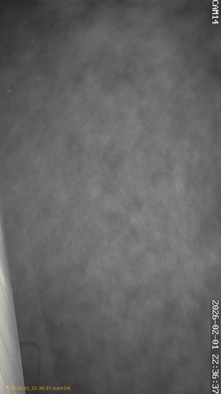 thumbnail_20260201223637