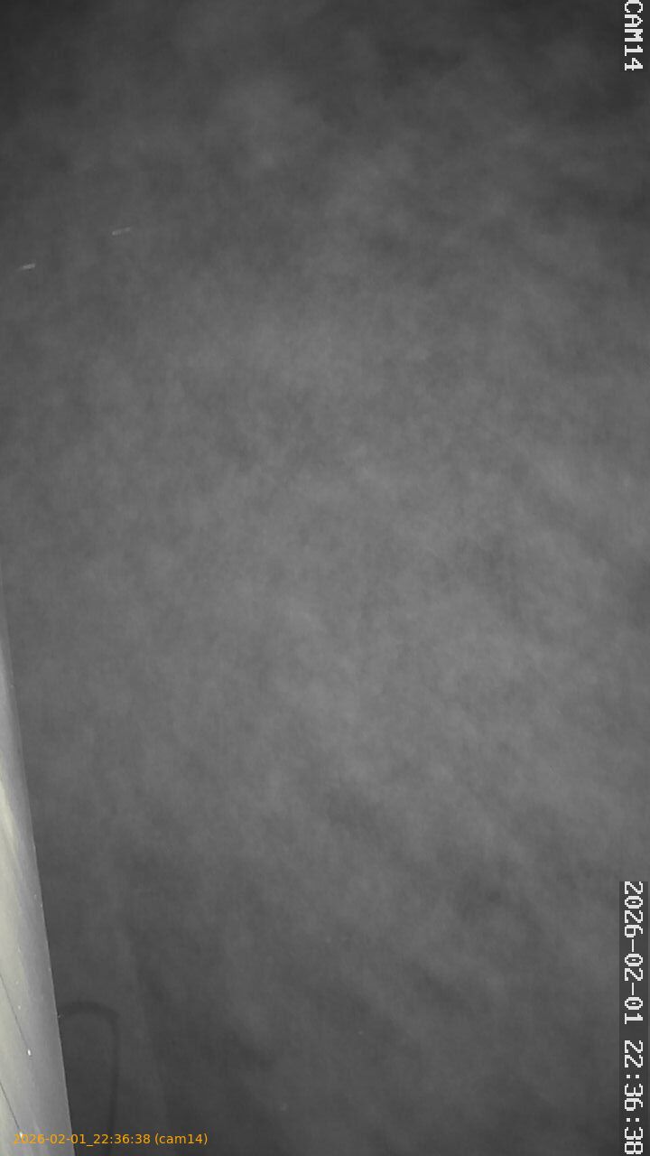 thumbnail_20260201223638