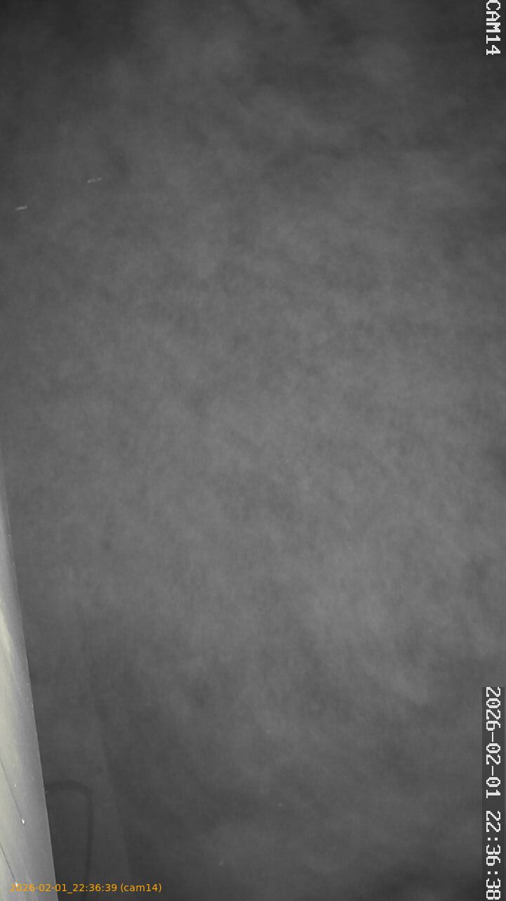 thumbnail_20260201223639