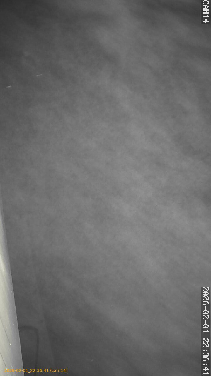 thumbnail_20260201223641