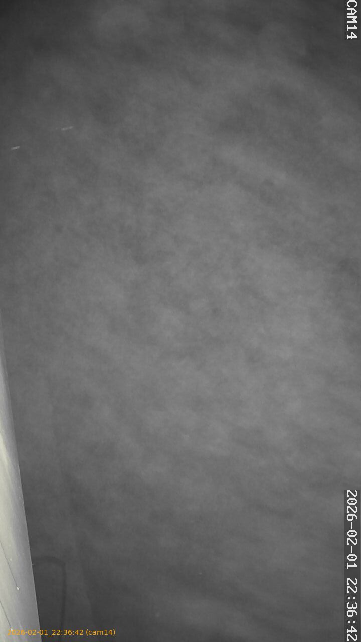 thumbnail_20260201223642