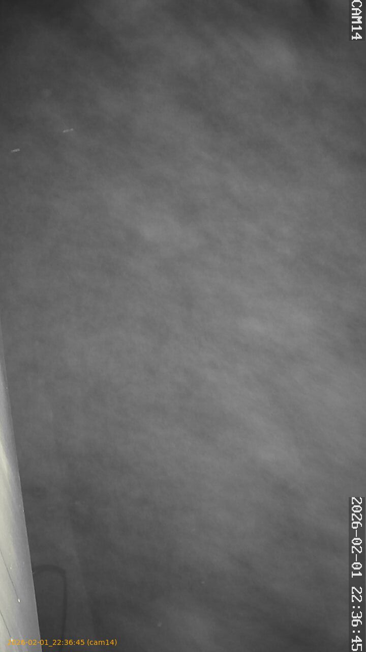 thumbnail_20260201223645