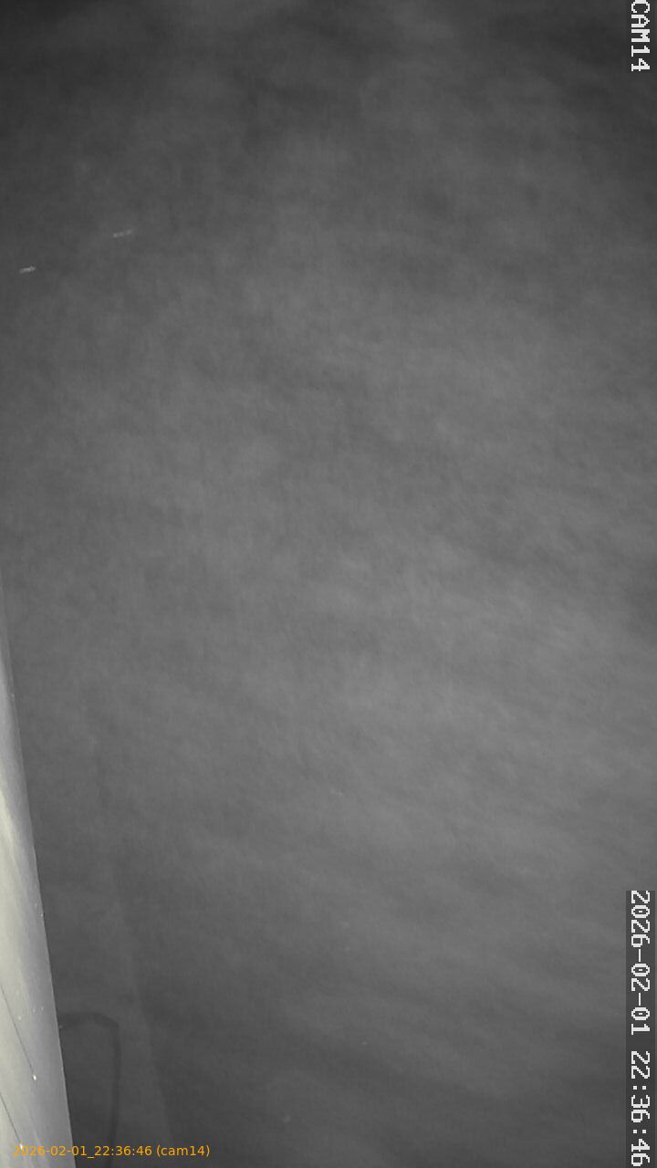 thumbnail_20260201223646