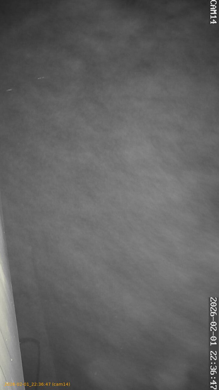 thumbnail_20260201223647