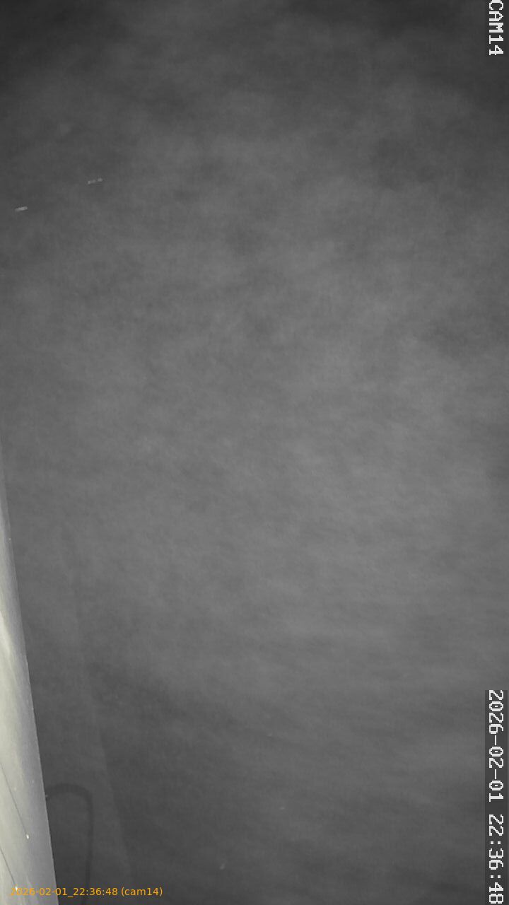 thumbnail_20260201223648