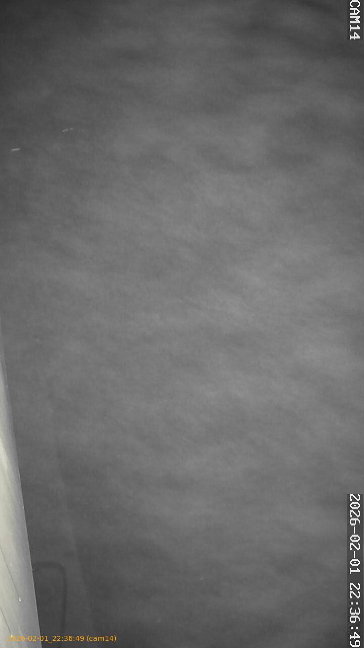 thumbnail_20260201223649