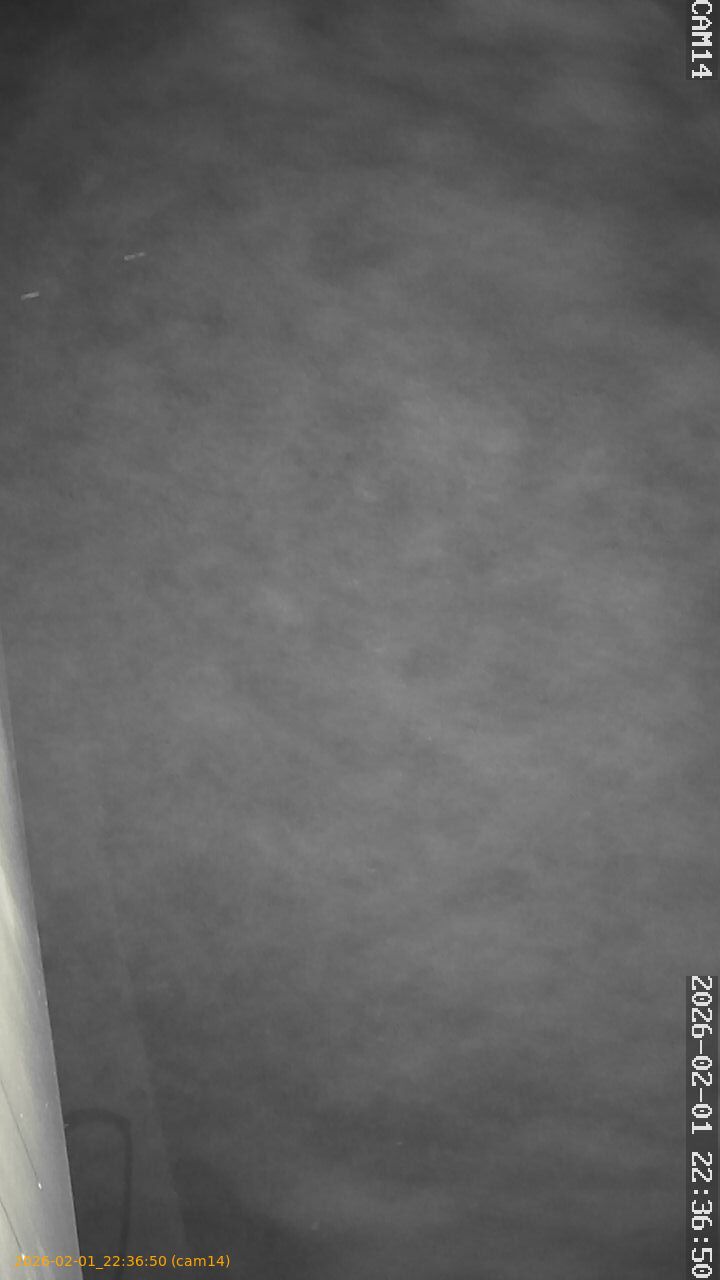 thumbnail_20260201223650