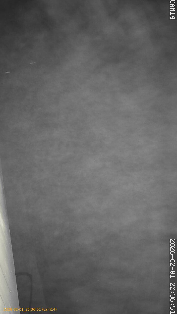 thumbnail_20260201223651