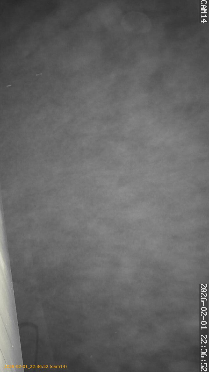 thumbnail_20260201223652