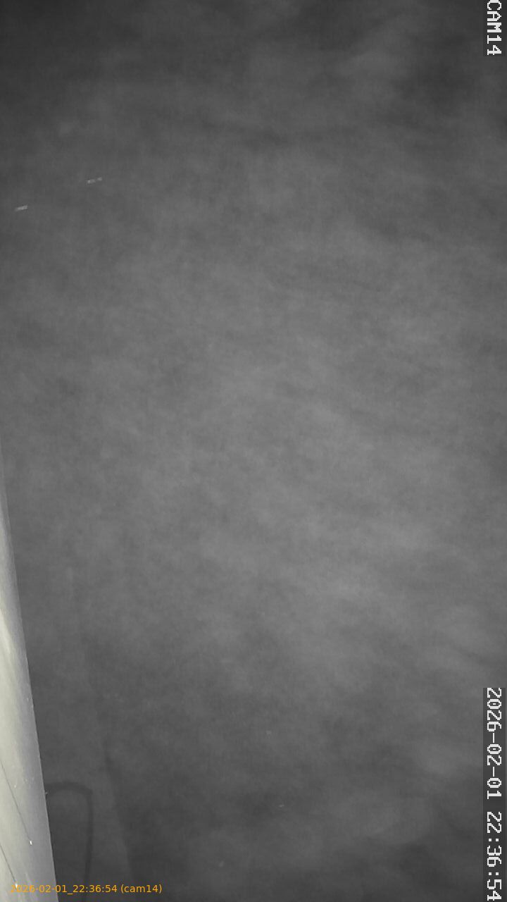 thumbnail_20260201223654