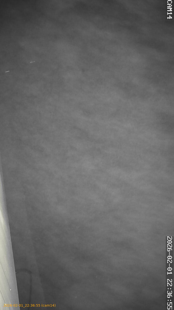 thumbnail_20260201223655