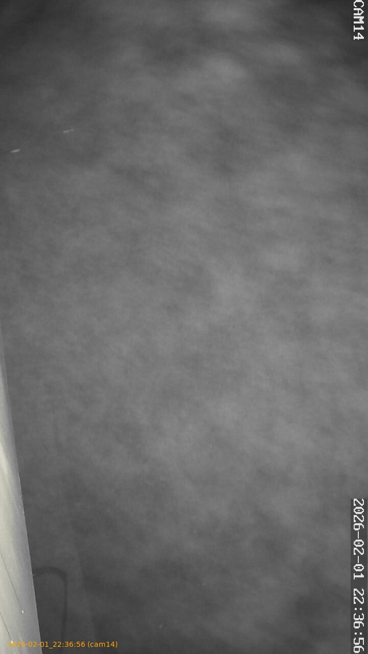 thumbnail_20260201223656