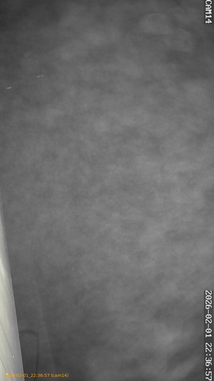 thumbnail_20260201223657