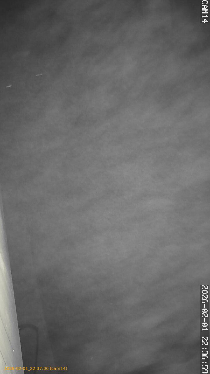 thumbnail_20260201223659