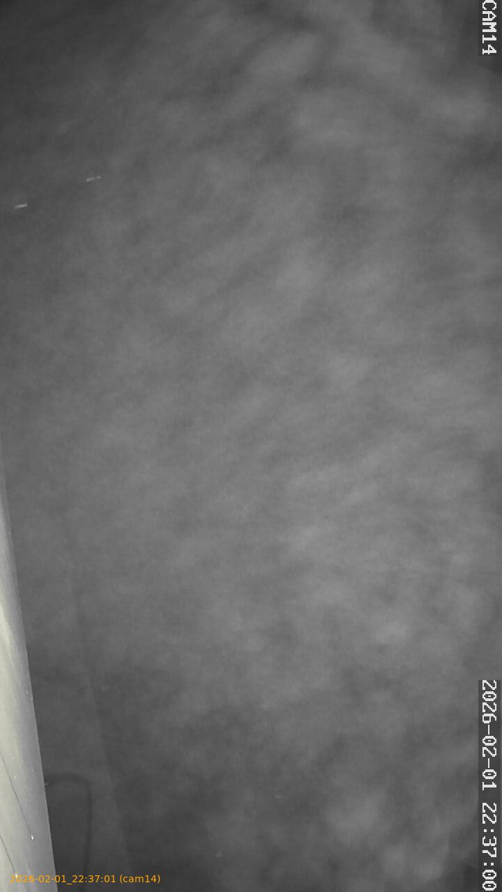 thumbnail_20260201223701