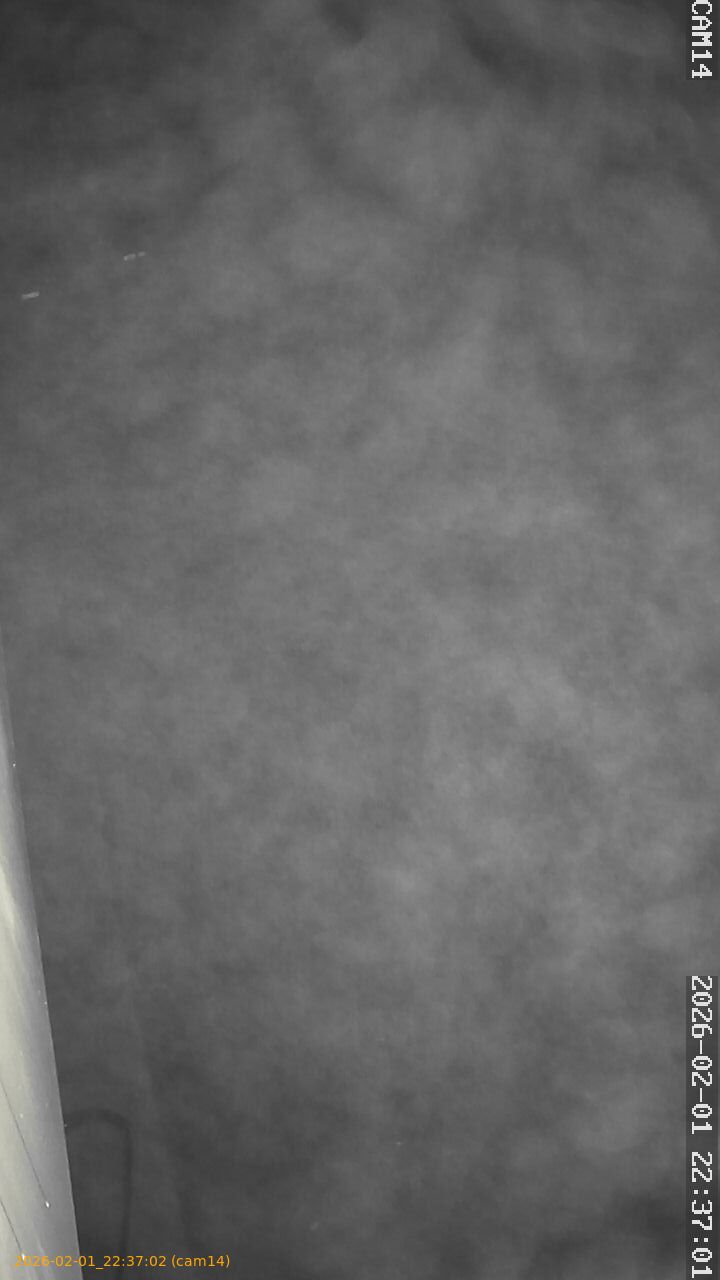 thumbnail_20260201223702