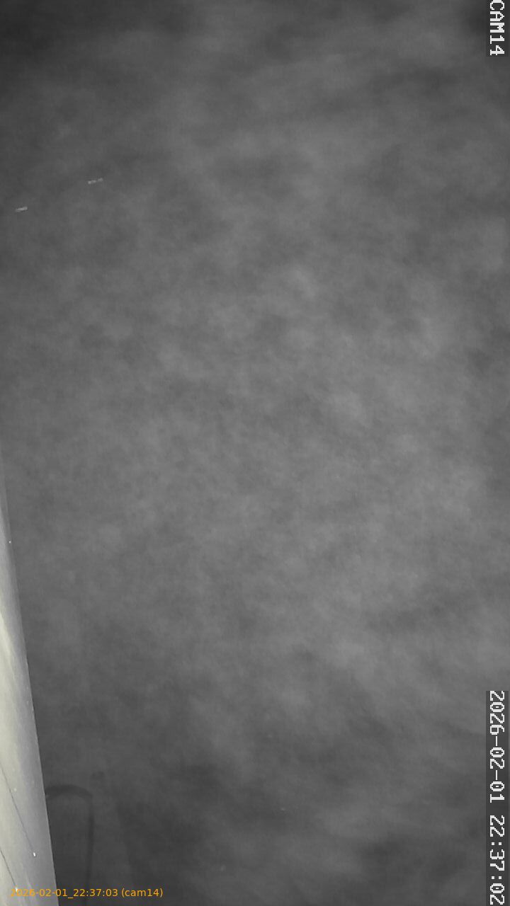 thumbnail_20260201223703