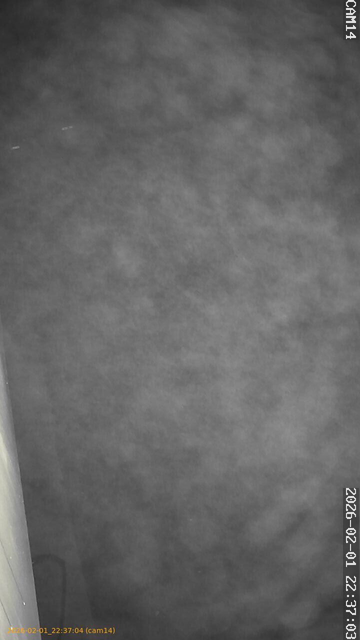 thumbnail_20260201223704