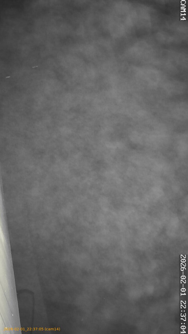 thumbnail_20260201223705