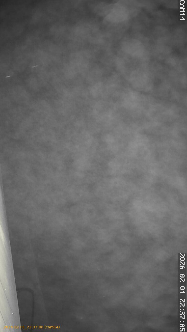 thumbnail_20260201223706