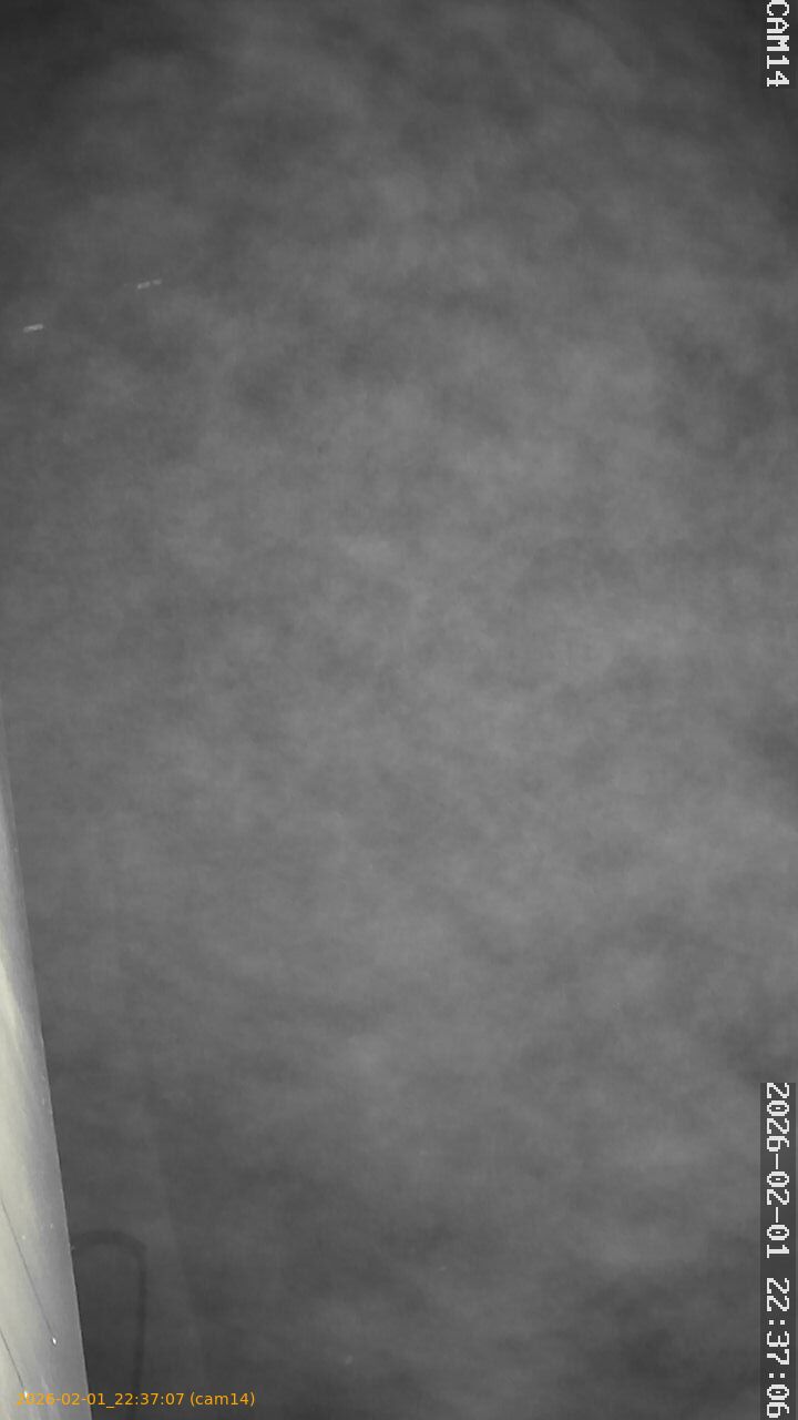 thumbnail_20260201223707