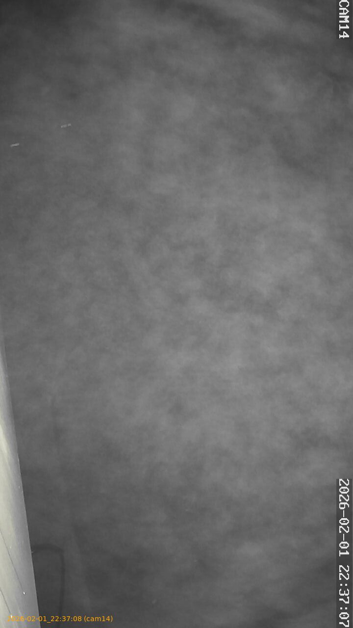 thumbnail_20260201223708