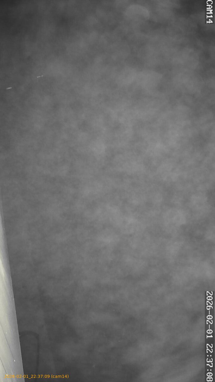 thumbnail_20260201223709