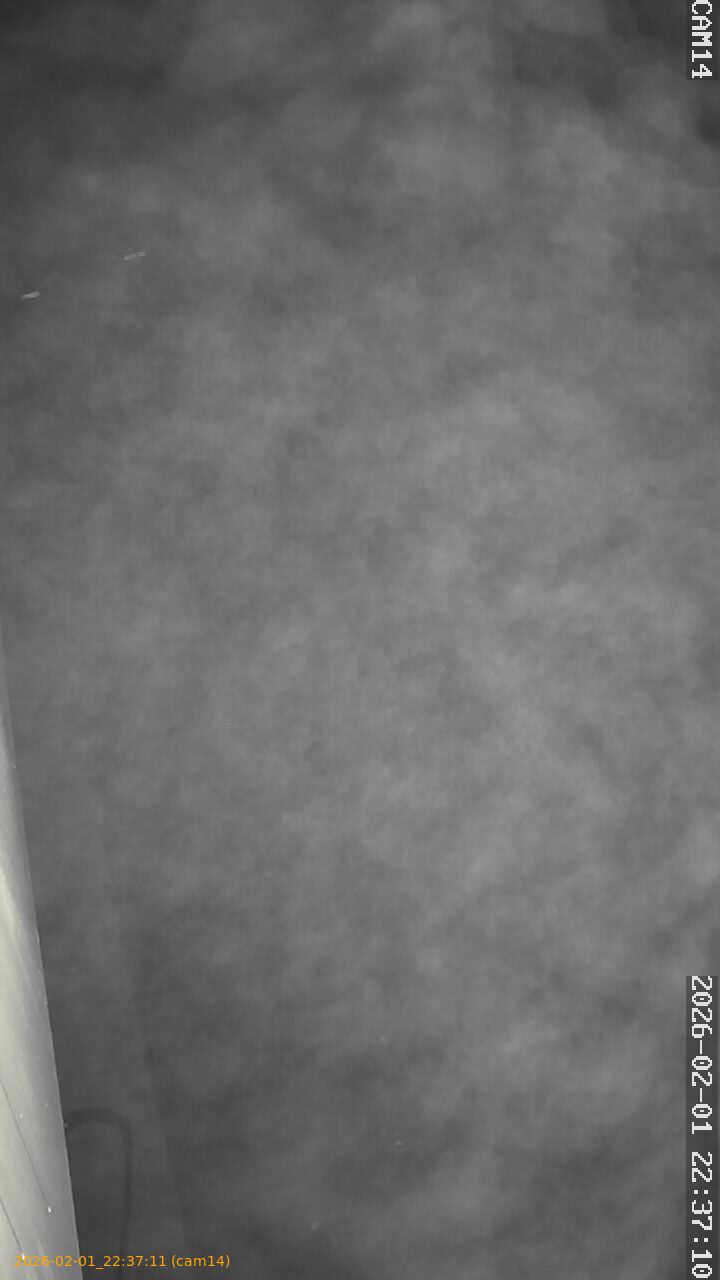 thumbnail_20260201223711