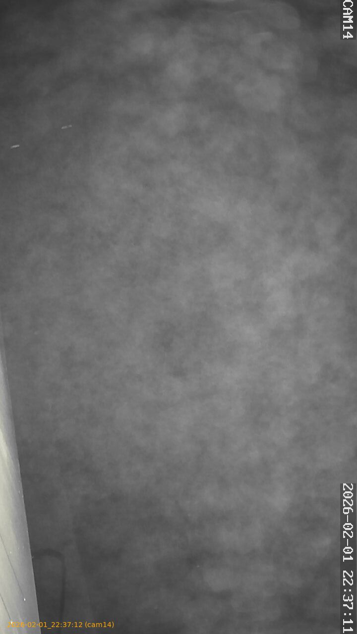 thumbnail_20260201223712