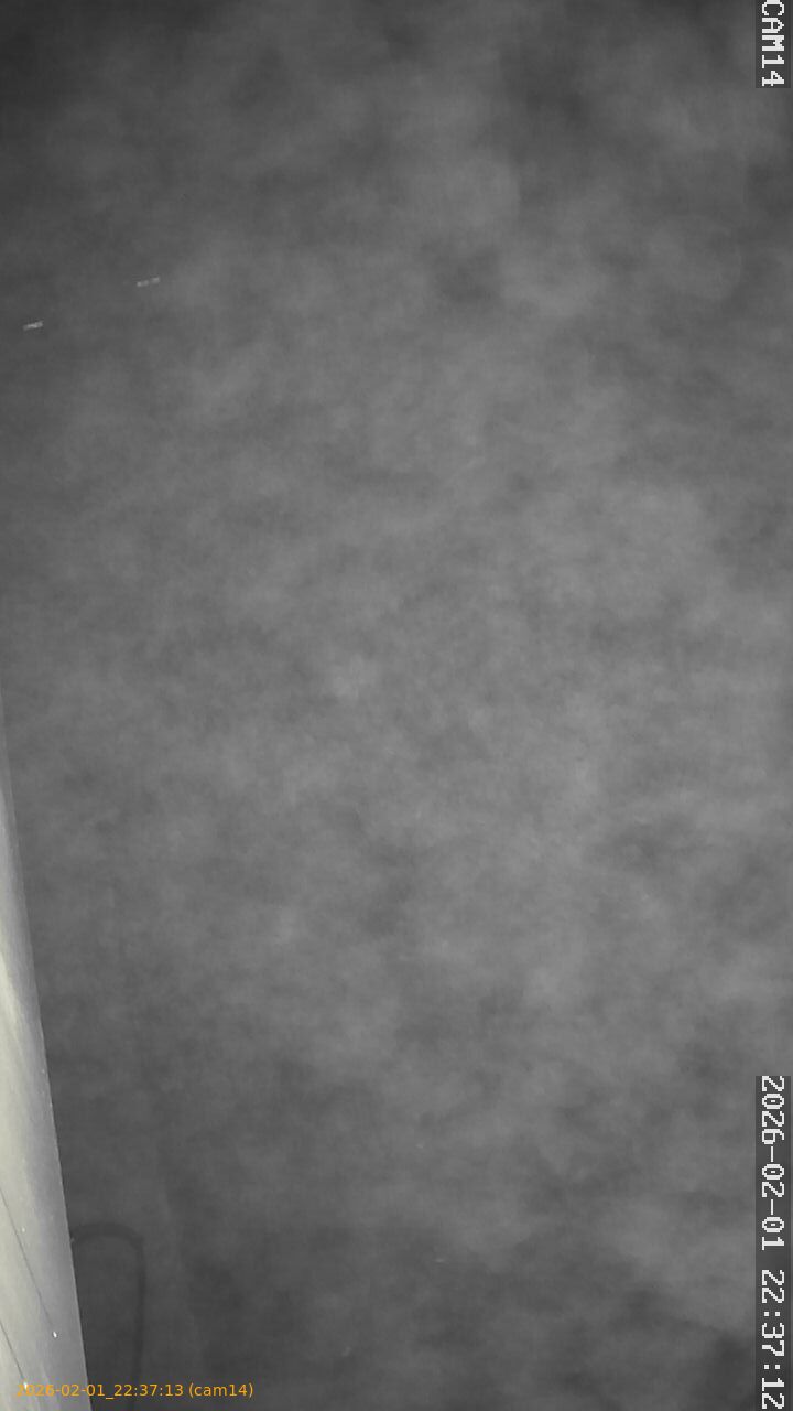 thumbnail_20260201223713