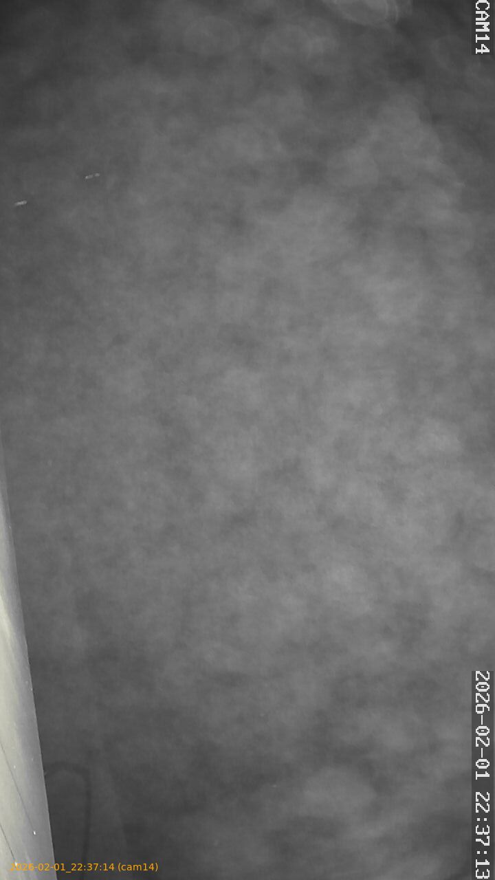 thumbnail_20260201223714